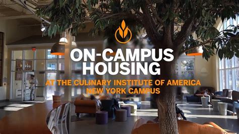 CIA Student Housing in New York .